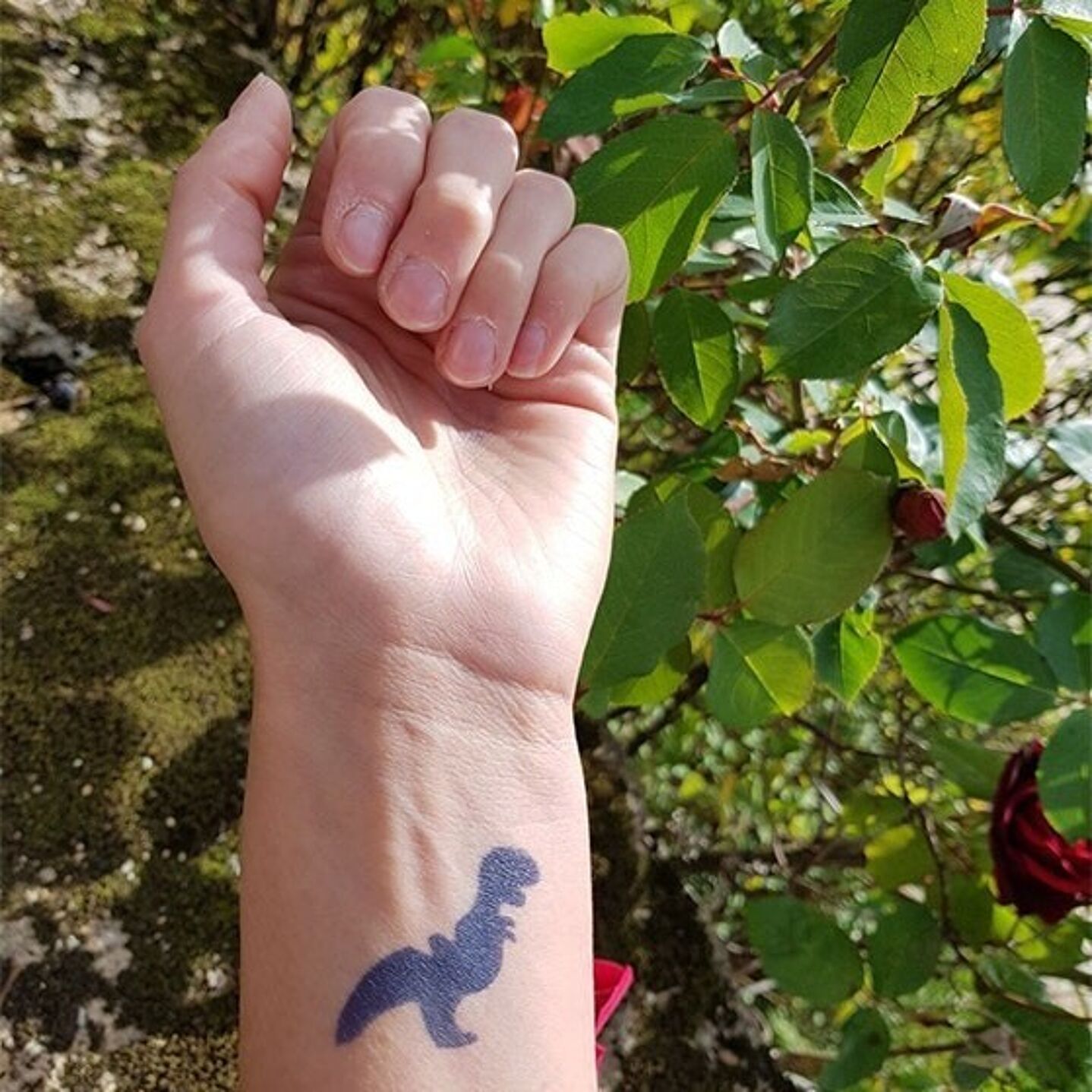 T-rex
