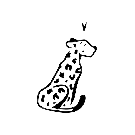 Pongo