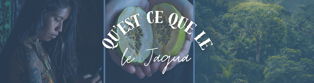 Qu'est ce que le jagua ?