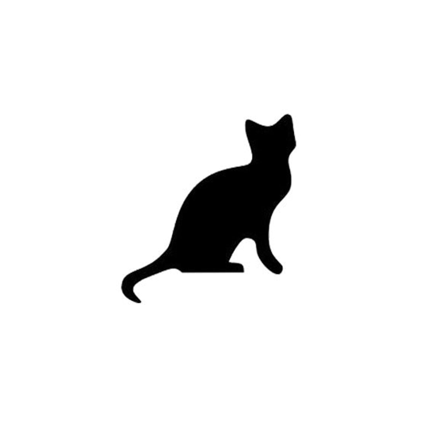 Gato
